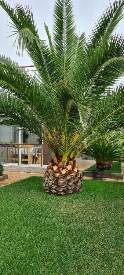 Villa Avdira Paralia Avdhiron Luaran gambar